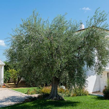 B&B Casale Savini Ortona Exterior photo