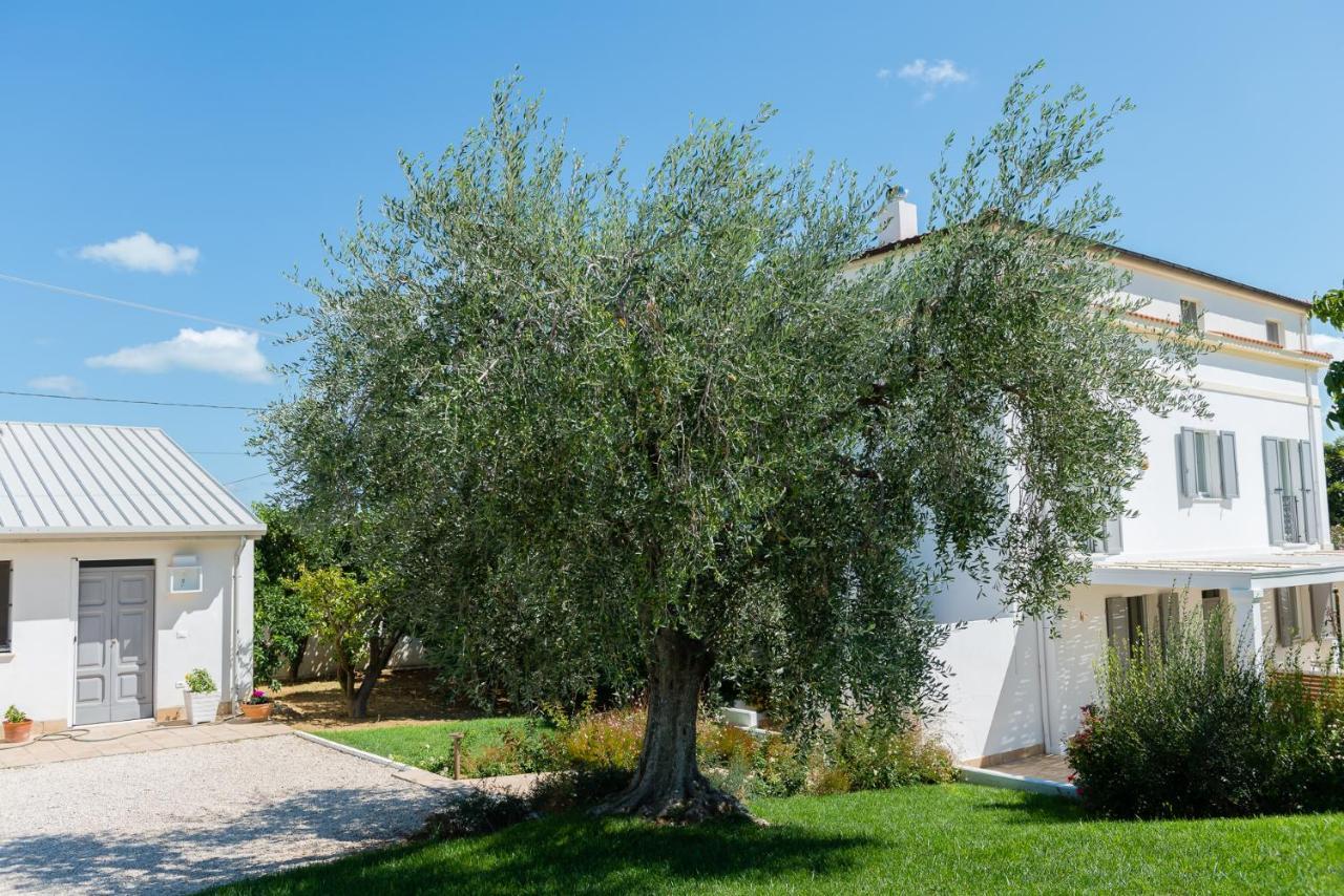 B&B Casale Savini Ortona Exterior photo